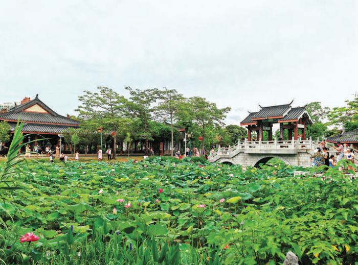 惠州西湖丰渚园荣膺"岭南名园奖"